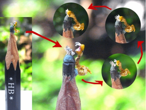 台湾毫芒雕刻家雕世界最小"黄金蟒吞大象"(图)